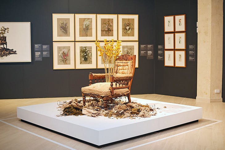 Art Gallery in Perth